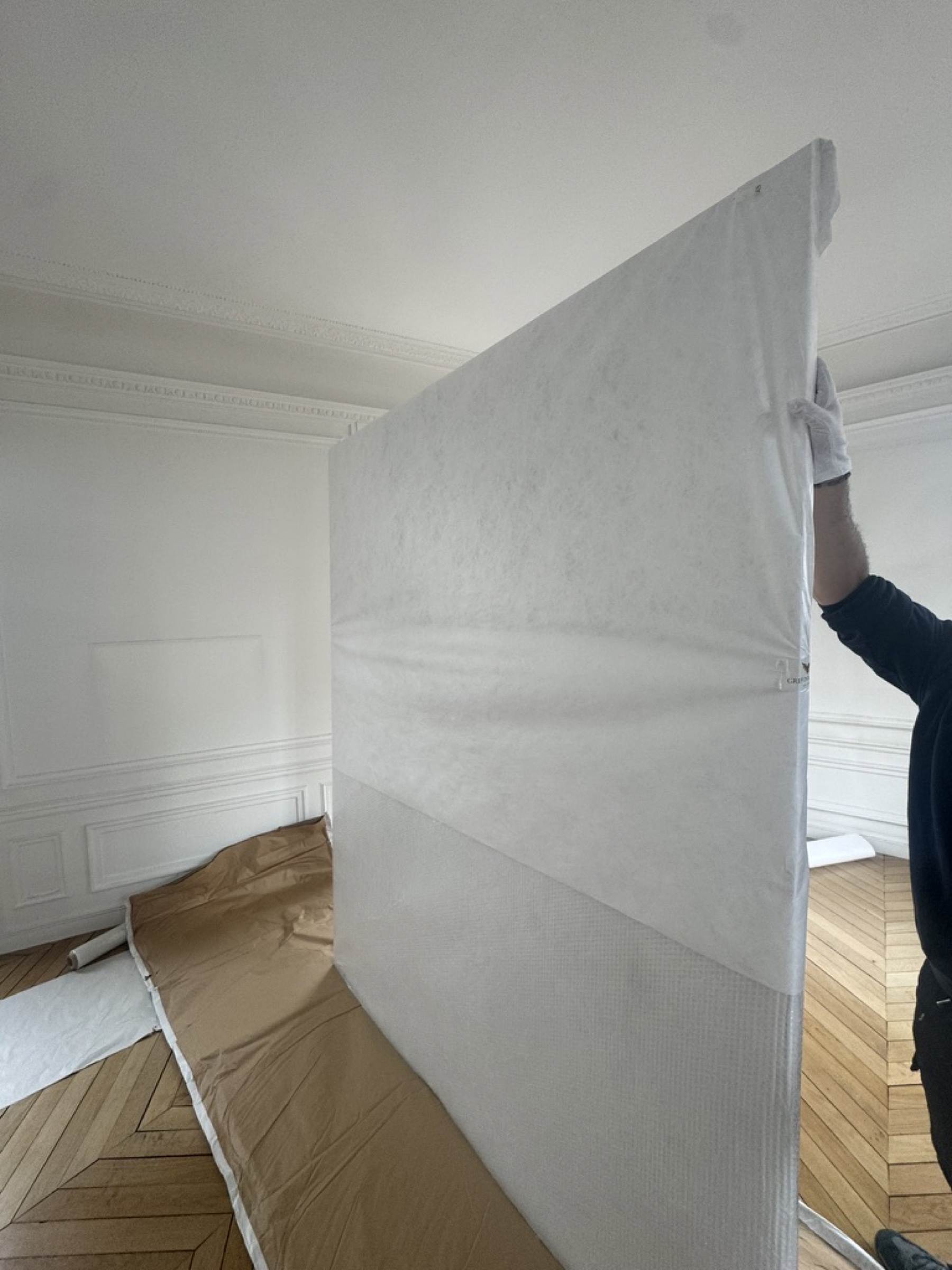 Tableau encadré sous protection avant garde-meubles climatisé Griffon